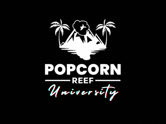 Screening: Popcorn Reef University: Sexy Summer Ozploitation at The Tenth Avenue Arts Center [7/2/25]
